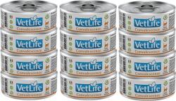 Farmina Vet Life Feline Convalescence 12x85g