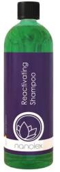 Nanolex Produse cosmetice pentru exterior Sampon Auto Nanolex Reactivating Shampoo, 750ml (NXRS07)