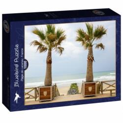 Bluebird Puzzle 1000 db-os puzzle - Plage de Lacanau, France ( 90484) (90484)