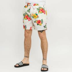 GUESS swimwear medium hawa xxl | Bărbați | Costume de baie | Multicolor | F3GT19WO07G-P07J (F3GT19WO07G-P07J)