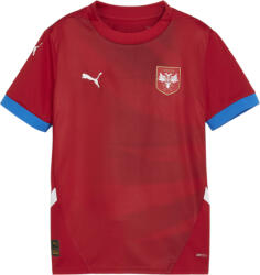 PUMA Bluza Puma FSS Home Jersey Replica Jr 2024 774091-01 Marime 128 (774091-01)