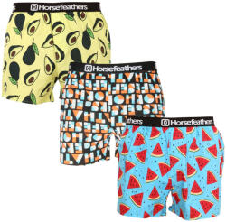 Horsefeathers 3PACK férfi bő szárú boxeralsók Horsefeathers Frazier többszínű (AM166H34ZW) XXL