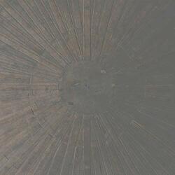 Basinski, William &Amp Selva Obscura - facethemusic - 11 890 Ft