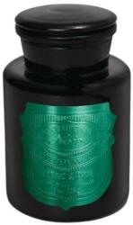 Paddywax Świeca zapachowa w słoiczku - Paddywax Apothecary Noir Candle Tabac & Pine 226 g
