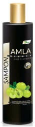 Ayurmed Amla Sampon Deluxe 250 ml