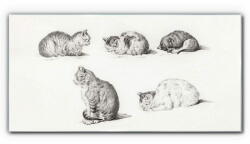 COLORAY. HU Üvegkép A macskaállatok rajza 120x60 cm