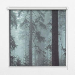 COLORAY. HU Roló függöny Erdészeti éjjel Sötétítő redőny (gumi bevonattal) 150x240 cm