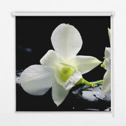 COLORAY. HU Ablak roló Orchideák Sötétítő redőny (gumi bevonattal) 90x180 cm