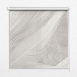 COLORAY. HU Roló ablakra Tollak Sötétítő redőny (gumi bevonattal) 90x180 cm