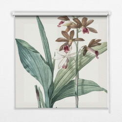 COLORAY. HU Árnyékoló ablakra Virág Sötétítő redőny (gumi bevonattal) 110x140 cm