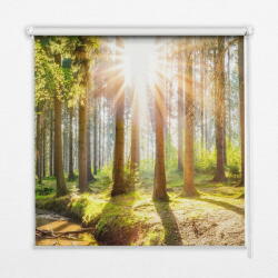 COLORAY. HU Ablak roló A nap áttör a fákon Sötétítő redőny (gumi bevonattal) 140x240 cm