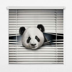 COLORAY. HU Roló ablakra Panda Sötétítő redőny (gumi bevonattal) 140x240 cm