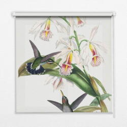 COLORAY. HU Fényzáró roló Madarak egy virágon Redőny fényerő 80x240 cm