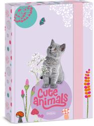Ars Una Füzetbox A/5 ARS UNA Cute Animals Kitten (50863686)