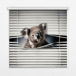 COLORAY. HU Árnyékoló ablakra Koala Sötétítő redőny (gumi bevonattal) 140x180 cm