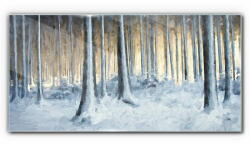 COLORAY. HU Üvegkép Absztrakció téli álom természet 140x70 cm