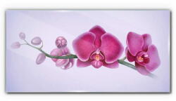 COLORAY. HU Üvegkép Akvarell virág ága Orchidea 140x70 cm