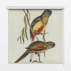 COLORAY. HU Ablak árnyékoló Két madár egy ágon Sötétítő redőny (gumi bevonattal) 150x180 cm