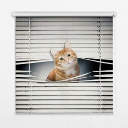  COLORAY. HU Árnyékoló ablakra Vörös macska Redőny fényerő 140x180 cm
