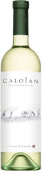 Oprisor Crama Oprisor - Caloian Sauvignon Blanc 2023 - 0.75L, Alc: 13%