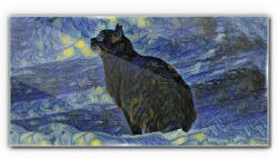 COLORAY. HU Üvegkép Absztrakció macska éjszakai csillag 140x70 cm