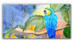 COLORAY. HU Üvegkép Elhagyja az állat papagáját 120x60 cm