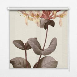 COLORAY. HU Fényzáró roló Leeső virág Sötétítő redőny (gumi bevonattal) 130x240 cm