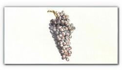  COLORAY. HU Üvegkép A szőlő gyümölcse 140x70 cm