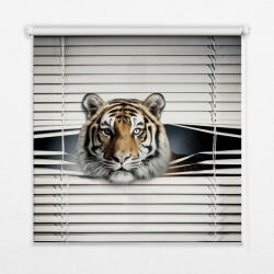 COLORAY. HU Roló ablakra Tigris Sötétítő redőny (gumi bevonattal) 90x240 cm