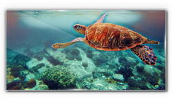  COLORAY. HU Üvegkép Tengeri állatok teknős víz 140x70 cm