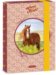 Ars Una Füzetbox A/5 ARS UNA My Sweet Horse (50863587)