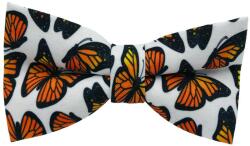  Papion butterfly color (prtNC11)