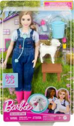 Mattel Barbie 65. Évfordulós karrier játékszettek (HRG41) (HRG41)