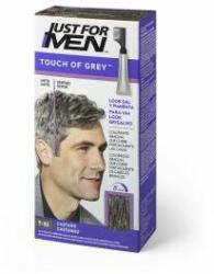 Just for Men Vopsea Permanentă Just For Men Touch of Grey Castaniu (40 g)