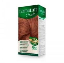 Farmatint Vopsea Permanentă Farmatint ab7114