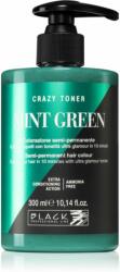 Black Professional Crazy Toner toner color Mint Green 300 ml