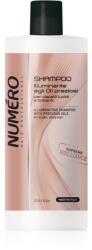 Brelil Illuminating Shampoo sampon pentru stralucire pentru par lipsit de viata 1000 ml