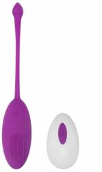 Passion Labs Egg Vibrator Kate, Purple (17.5cm)