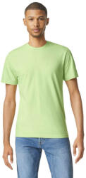 Gildan Softstyle rövid ujjú környakas póló, Gildan GI64000, Pistachio-3XL (gi64000ps-3xl)
