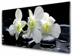tulup. hu Akrilüveg fotó Rózsaszín orchidea virág 140x70 cm 2 fogas
