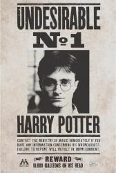 GB eye Maxi poster GB eye Movies: Harry Potter - Undesirable No. 1 (ABYDCO768)