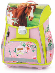 KARTON P+P Rucsac scoala PREMIUM cal (9-11623)