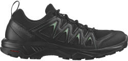 Salomon X BRAZE 45 | Férfi | Trekking cipők | Fekete | L47430100