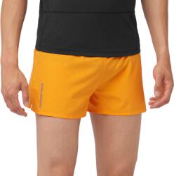 Salomon CROSS 3 SHORTS M Rövidnadrág lc2196400 Méret XL