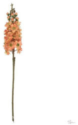 Selyemvirág Viola barack, rózsaszín (DD68020)