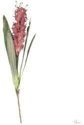 Selyemvirág Bromélia hab mályva (DD67952)