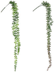 Bizzotto Set 2 plante artificiale verde Sempreverde 71 cm (0171046) - decorer