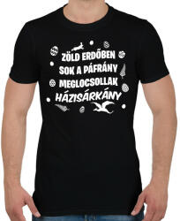 printfashion Zöld erdőben sok a páfrány - Férfi póló - Fekete (15753468)
