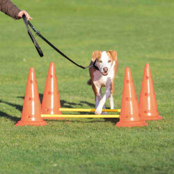 TRIXIE Sporting Obstacle Set - agility akadály (ugró akadály) kutyák részére (Ø30cm x 50/100cm)