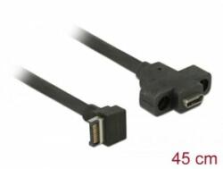 Delock USB 3.1 Gen 2 20 tűs apa > USB 3.1 Gen 2 USB-C anya rögzíthető 45 cm (85326)